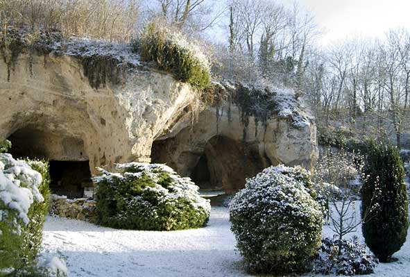jardin sous la neige