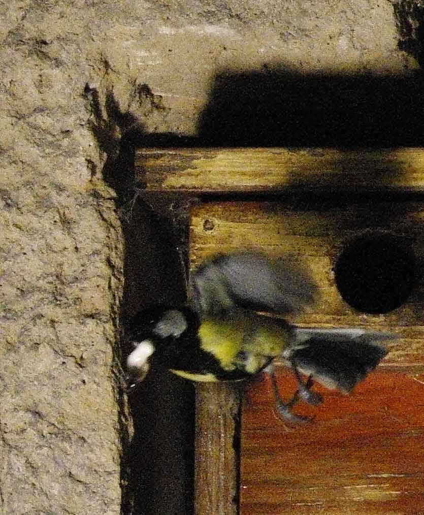 opération de nettoyage