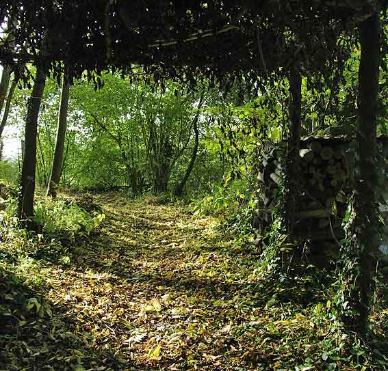 cabane d'été en automne