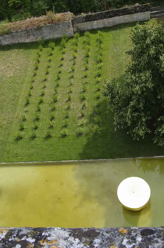 jardin de M. Pascal Cribier