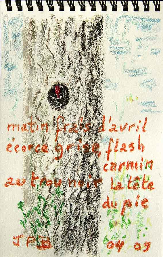 flamme rouge mots et couleurs d'avril dans le sous-bois