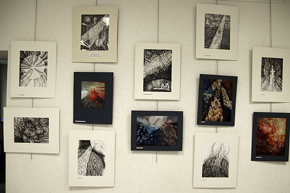 peintures de Mme Ernst-Caffort