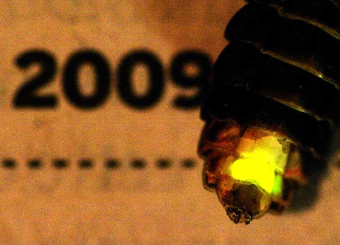 luminescence avec appoint artificiel