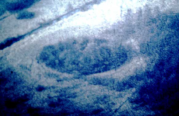 motte de Thin-le-Moûtier