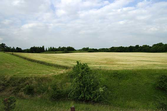 le camp des Romains au sol