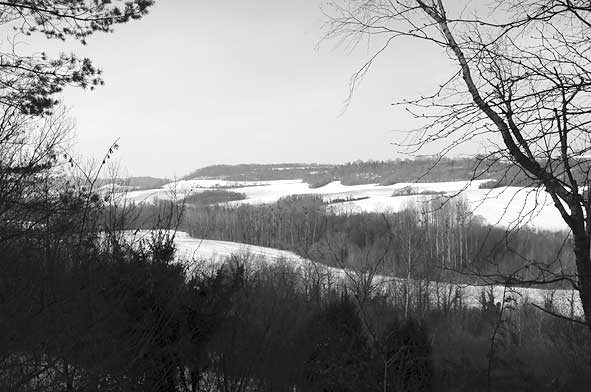 Paissy, ravin du Mourson enneigé