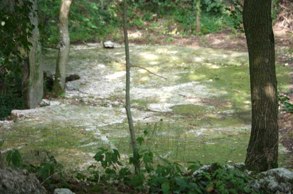 sol de base d'une ancienne carrière de pierres
