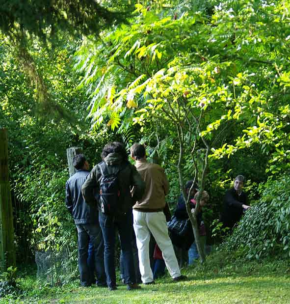 programme partiel de la visite