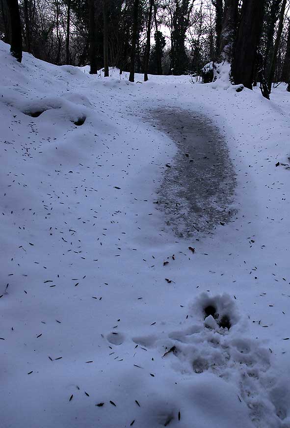 glissade de blaireau