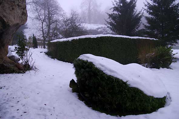 jardin sous la neige