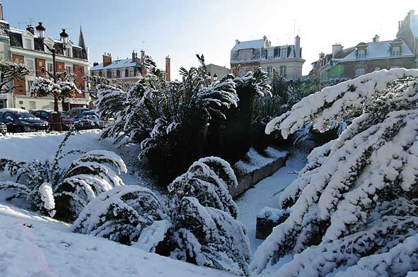 Forum rémois : branchages enneigés