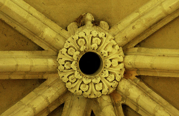 ange caché dans une boule de végétaux à Braine