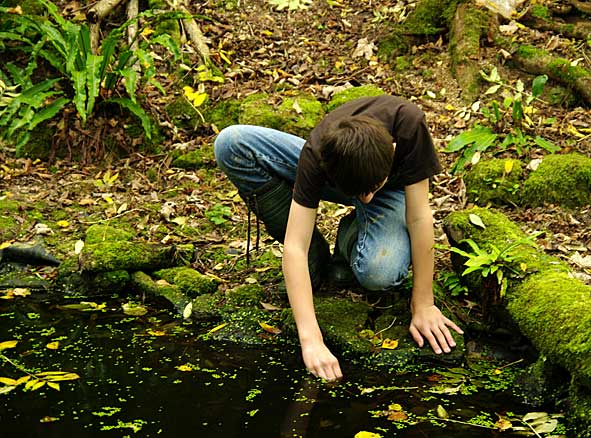 des gestes d'hier d'aujourd'hui et de demain