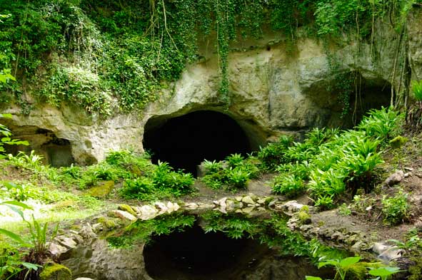 miroir d'eau en été