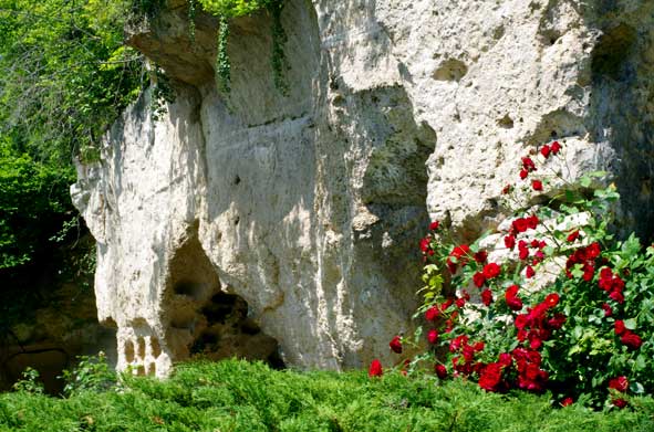 un rouge sans concession sur la roche claire