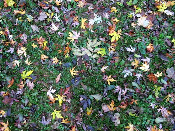 photographie : Céline Gouël