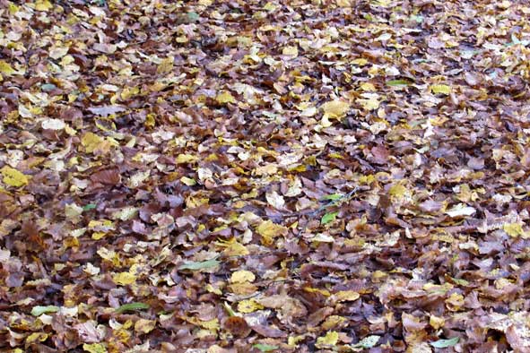 photographie : Céline Gouël