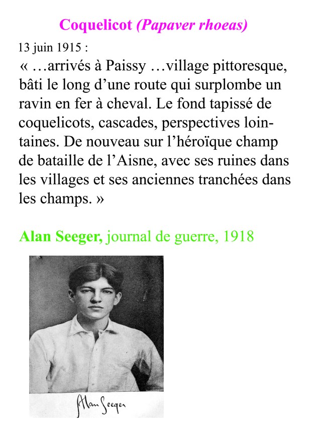 exemple d'un des textes affiché dans le jardin