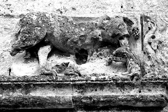 ours tenant dans sa gueule un animal (mouton ?)