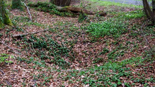 BoisButtesTrouObus2015W